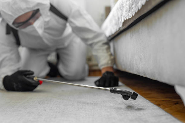 Professional Bed Bug Control technician working in Mooreville, MS