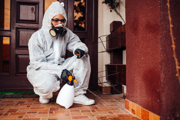 Reliable Bed Bug Control contractor in Mooreville, MS by Nex Pest Control